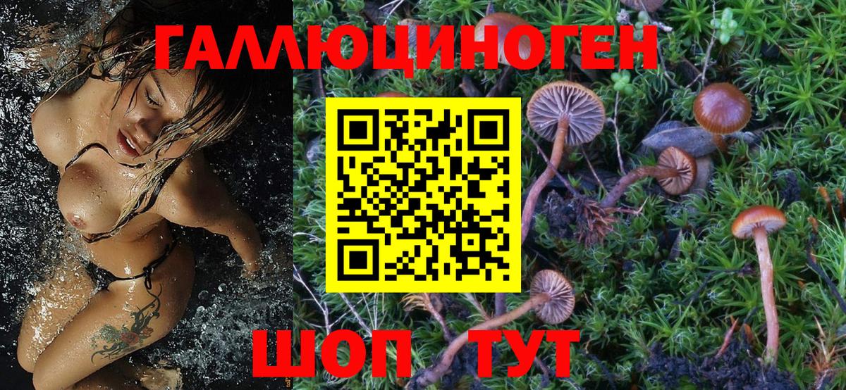 Псилоцибиновые грибы прущие грибы Кунгур