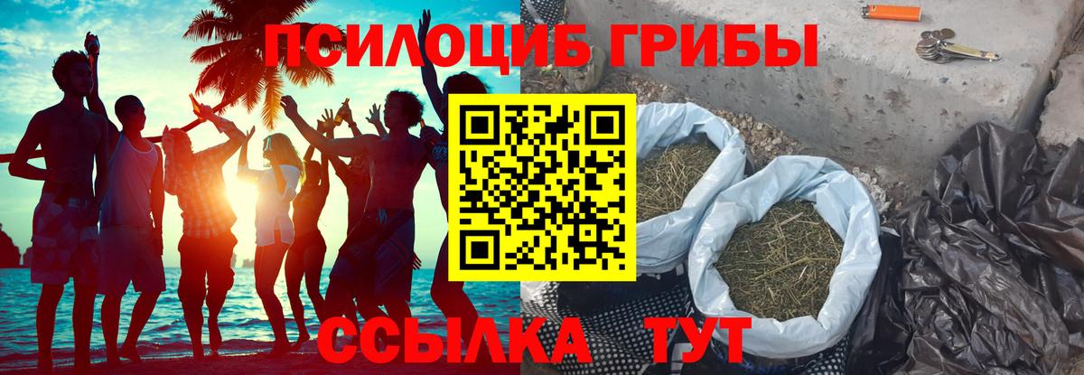 Кунгур  Галлюциногенные грибы мухоморы  Галлюциногенные грибы GOLDEN TEACHER  Вход с VPN 