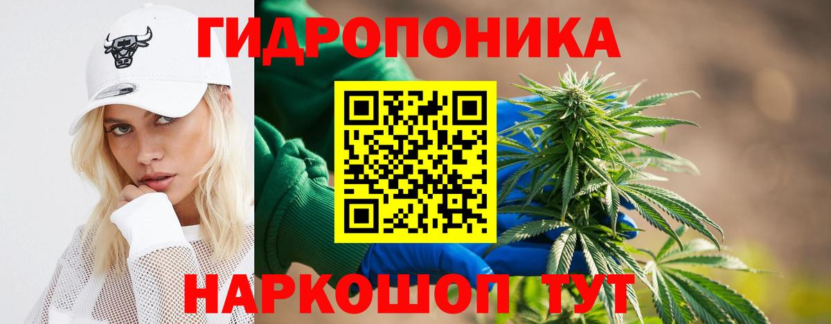 Конопля гибрид  Канабис план  Кунгур  Вход с VPN 